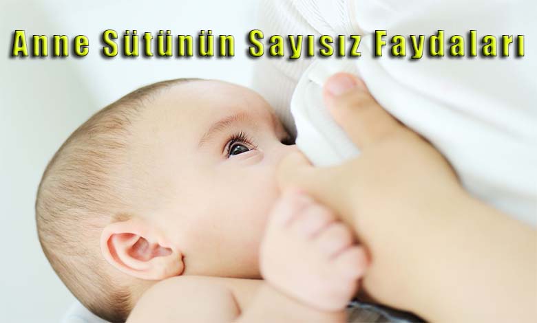 1 - 7 Ekim Dünya Emzirme Haftası