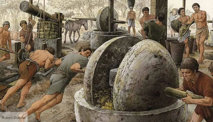 Roma’dan Soframıza: Zeytinyağının İmparatorluk Mirası