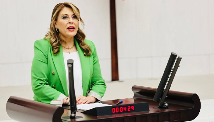 CHP’li Gezmiş, Tirebolu-Torul Yolunu TBMM Gündemine Taşıdı