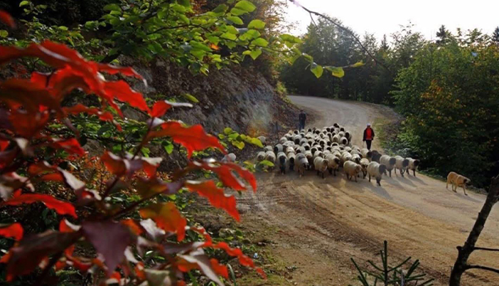 Yaylacılara Uyarı: Kar Geliyor