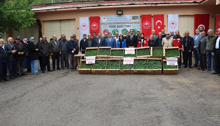 Gümüşhane’de Üreticiye 226 Bin 208 Sebze Fidesi Desteği