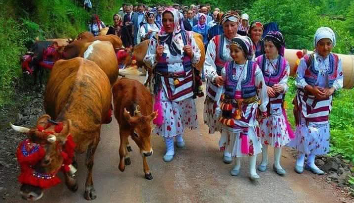 Yayla Yolu Düğün Alayını Aratmadı