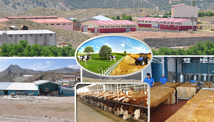 Kırsal Kalkınmaya 370 Milyon TL’lik Destek: Gümüşhane’ye 26 Yeni Proje