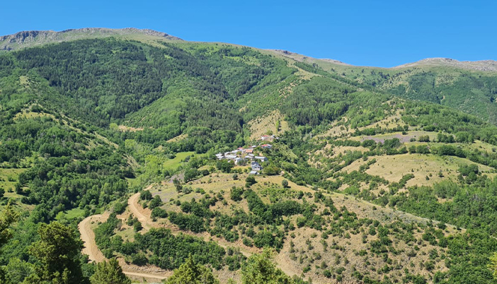 İşte O Köy: Şiran, Yedibölük