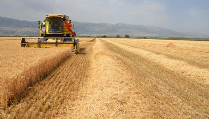 Buğday 13 Binin Altında, Arpa 11 Binin Üzerinde: 10 Temmuz Fiyatları Açıklandı
