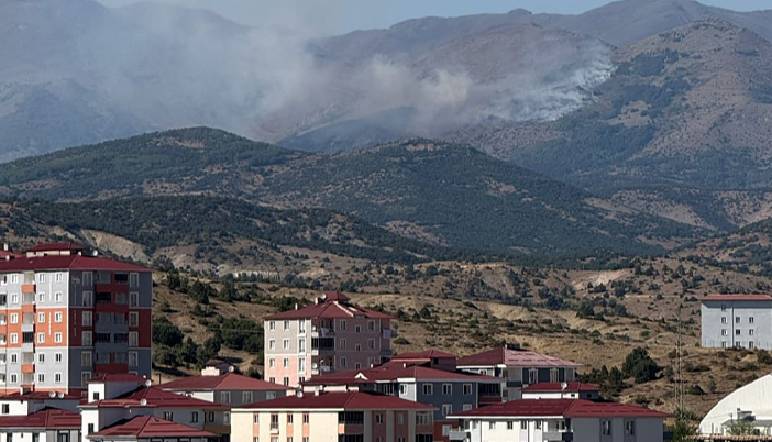  Şiran’da Orman Yangını Kontrol Altına Alındı