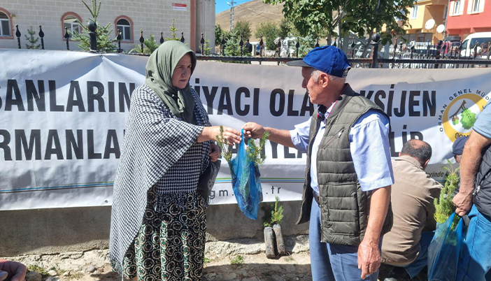 Kazıkbeli Yaylası’nda 5 Bin Çam Fidanı Vatandaşlarla Buluştu