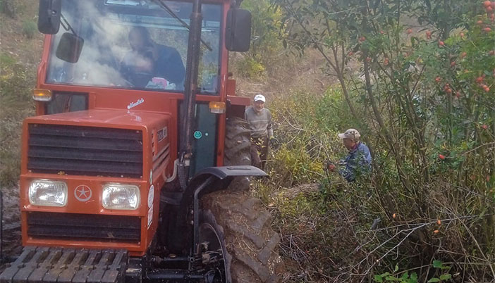 Gümüşhane’de Kış Hazırlıkları Başladı: Doğalgaz Yoksa Orman Var