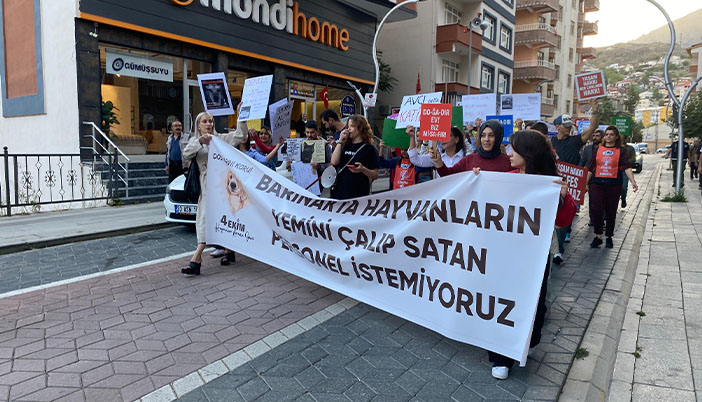 Gümüşhane’de 4 Ekim Hayvanları Koruma Günü’nde Duygusal Yürüyüş: “Yaşam Hakkı Kafes Tanımaz!”