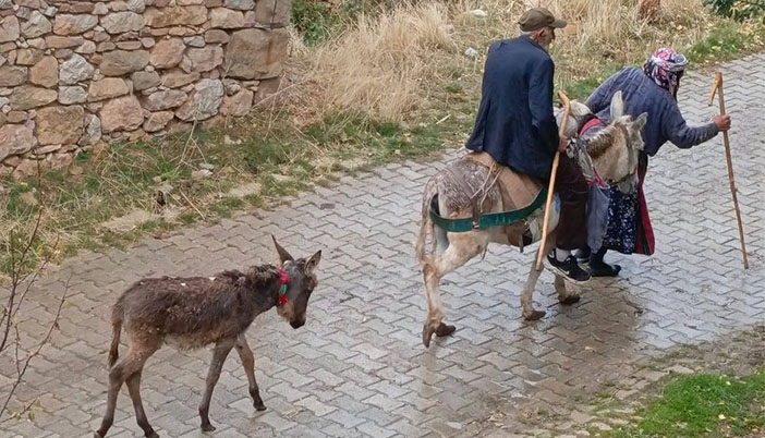 Gündoğumu Gazetesi Yılın Fotoğrafını Seçti