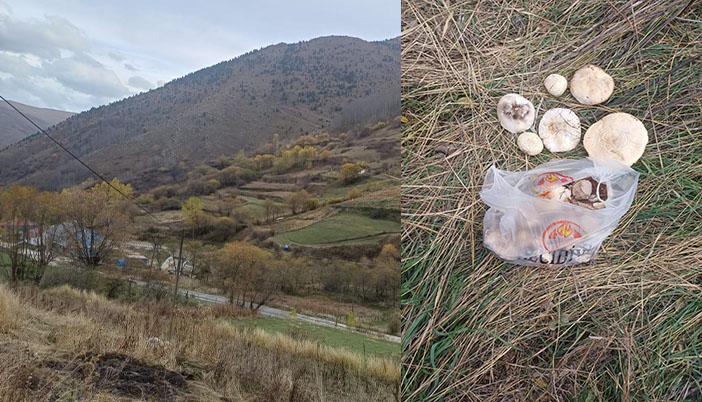 Köyde Hevlek Zamanı