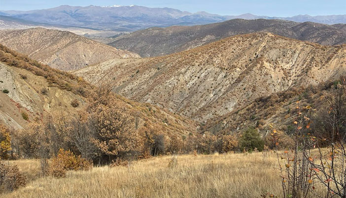 Haydi Sizleri Çimen Dağlarına Götürelim