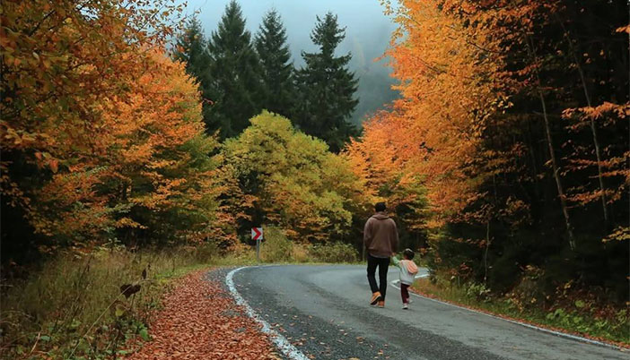 Oy Gidelim Kalk Gidelim Zigana’ya: Sonbaharın Renkleriyle Zigana Büyülüyor