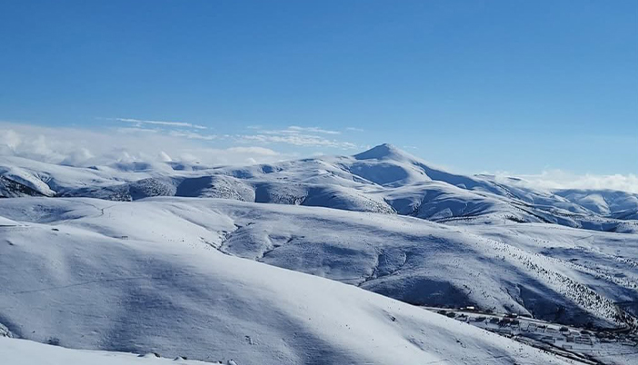Gümüşhane’de Vahşi Doğanın Değişen Yüzü: Birkaç Ay Önce Yemyeşildi