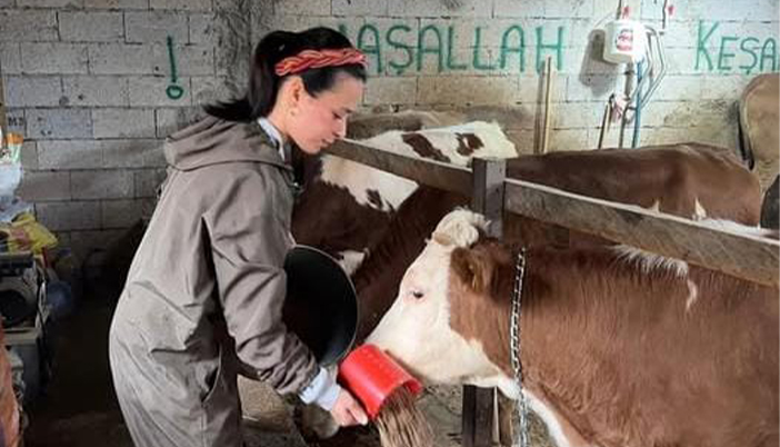 Şehir Hayatından Köye: Genç Çiftin Örnek Dönüş Hikâyesi