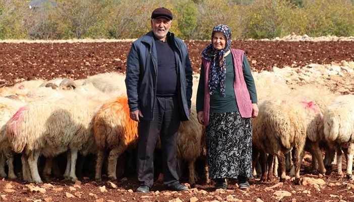 Gaziantep’te Hayvancılığa Adanan Bir Emeklilik: Gürsel Çifti Üretime Örnek Oldu