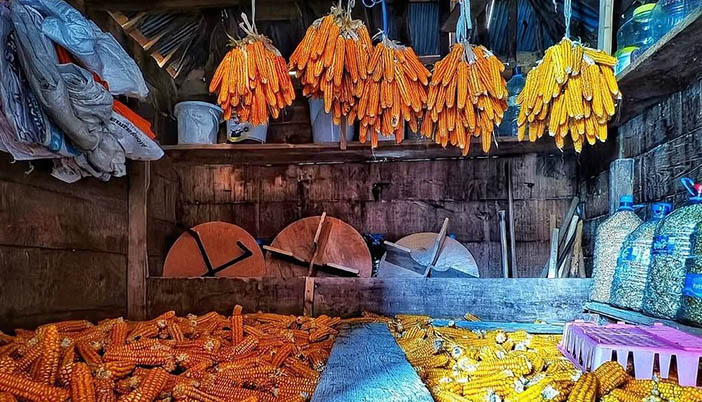 Hepsi Kış İçin Saklanıyor: Karadeniz’de Serender Hazırlığı Başladı