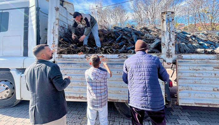Eskil Belediyesi’nden Pazar Yerinde Ağaç Dağıtımı