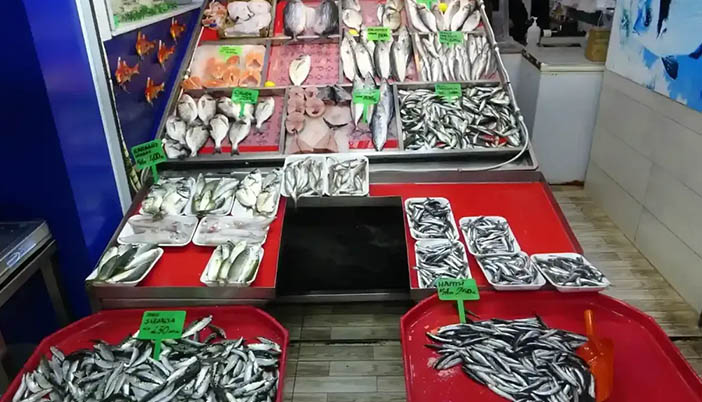 Hamsi Karadeniz'e Kaydı: Çanakkale ve Marmara'da Balık Azaldı