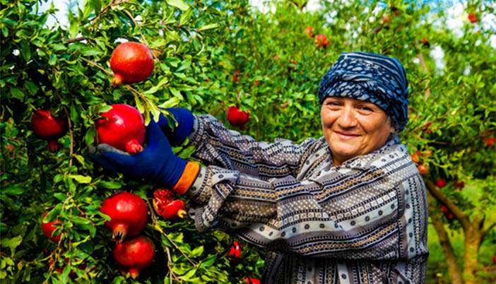 Sofraların Tuzu Kaçtı: Gümüşhaneli Esnaftan 'Yerli Üretim' Vurgusu