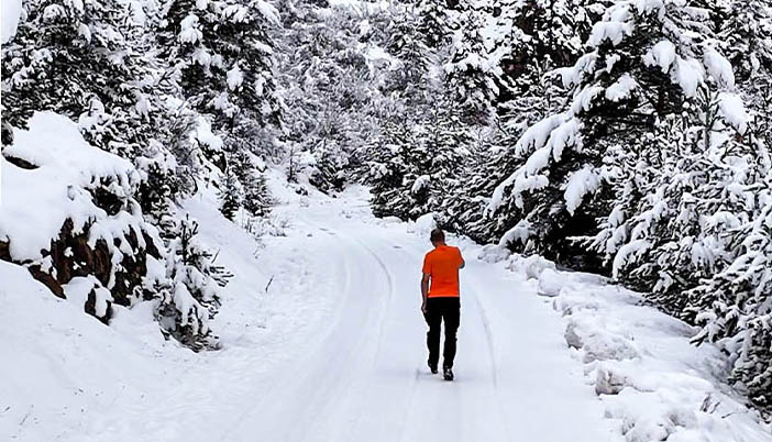 Gümüşhane Beyaza Büründü