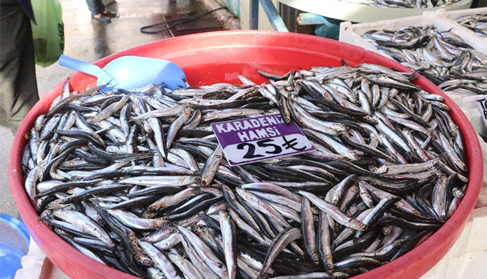 Karadeniz Hamsisi 20 Ülkenin Sofrasında