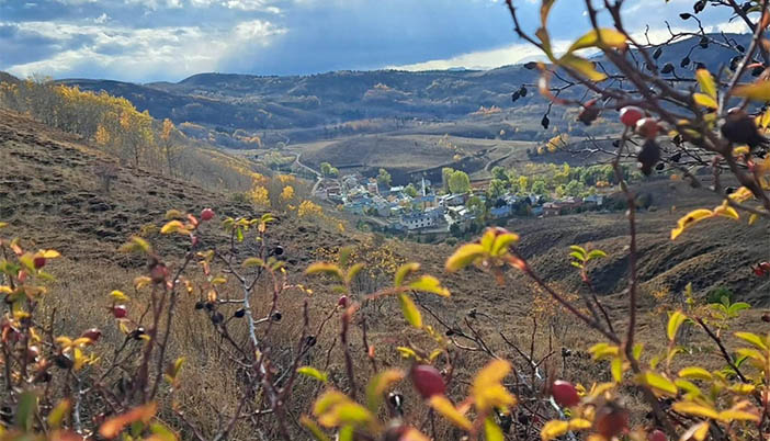 Gümüşhaneli Köyüne Neden Dönmüyor? Göçün Görünmeyen Sebepleri