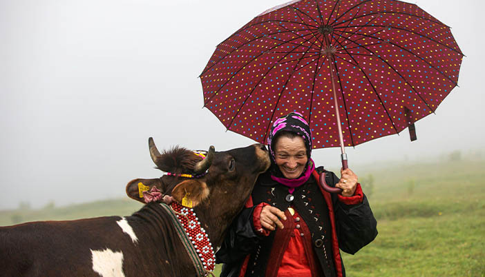Bu Fotoğraf Faysal Kanber’e Birincilik Getirdi