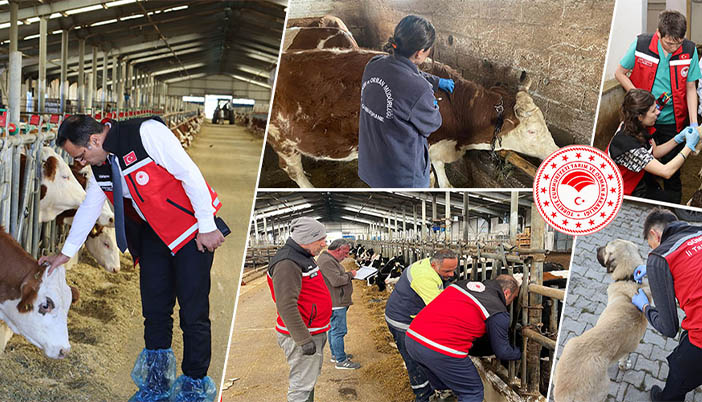 Gümüşhane’de Hayvanlara 241 Bin 536 Koruyucu Aşı Uygulandı