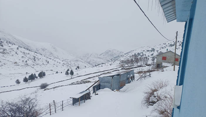Nisan’a Kadar Bembeyaz: Karacalar Beyaz Örtüde Görüntülendi