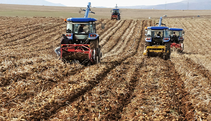 2026 Tarım Takvimi Belli Oldu: Gümüşhaneli Çiftçi Ne Ekecek, Maliyetler Bel Bükecek