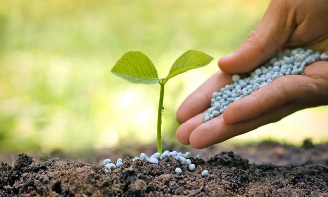 Gübre Fiyatları Yine Çiftçinin Cebini Yakacak: Yeni Sezon Öncesi Zam Kapıda