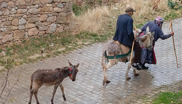 Bir Şehrin İnsanları, Bir Ömrün Hikâyesi, Toprağını Sırtında Taşıyanlar