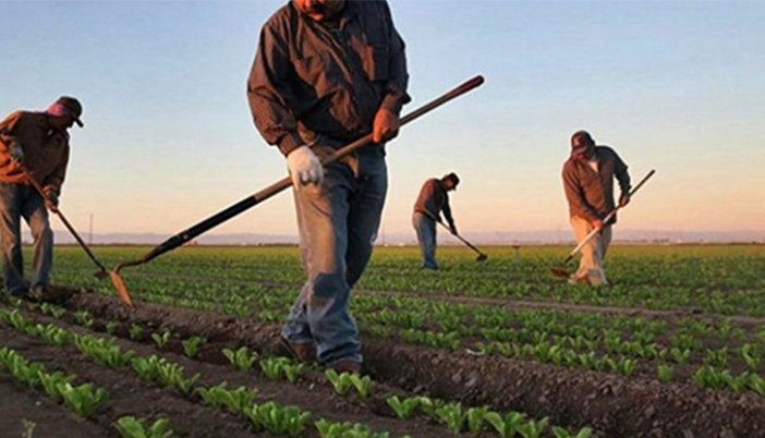 Çiftçi Kara Kara Düşünüyor: 2026 Üretim Planları Belirsiz