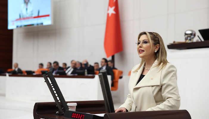 CHP’li Gezmiş: “Giresun Yatırım Programında Yine Yok Sayıldı”