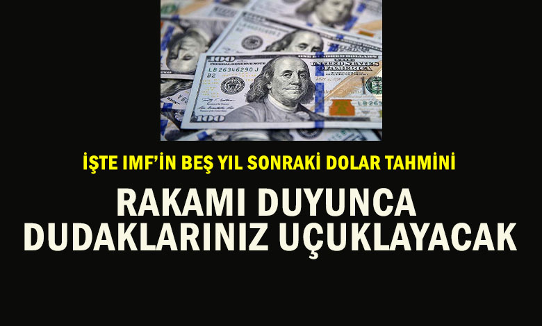 5 Yıl Sonra Dolar Kaç TL Olacak