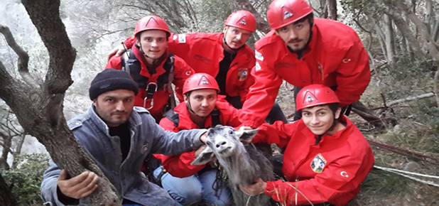 AKUT 1000. Hayvanı Kurtardı
