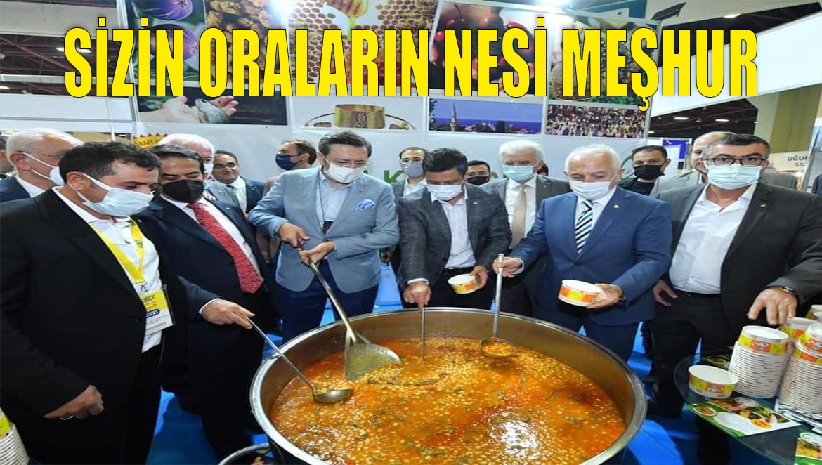 Antalya Yörex