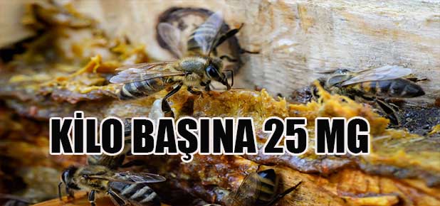 Bağışıklık Sisteminin Destekçisi: Propolis
