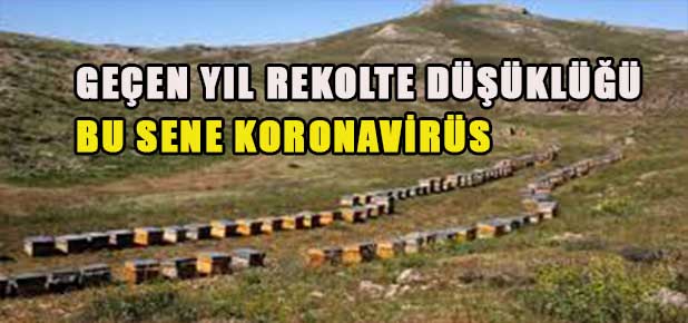 Bal Üreticisi Mağdur