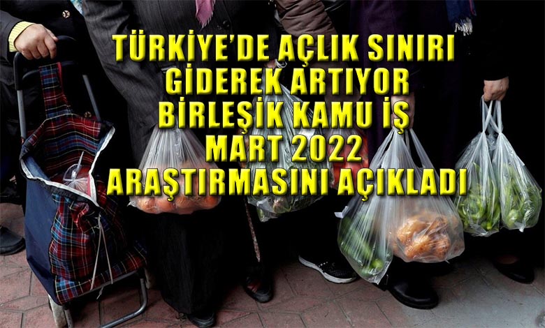 Birleşik Kamu - İş Açlık -Yoksulluk Araştırması  Mart 2022