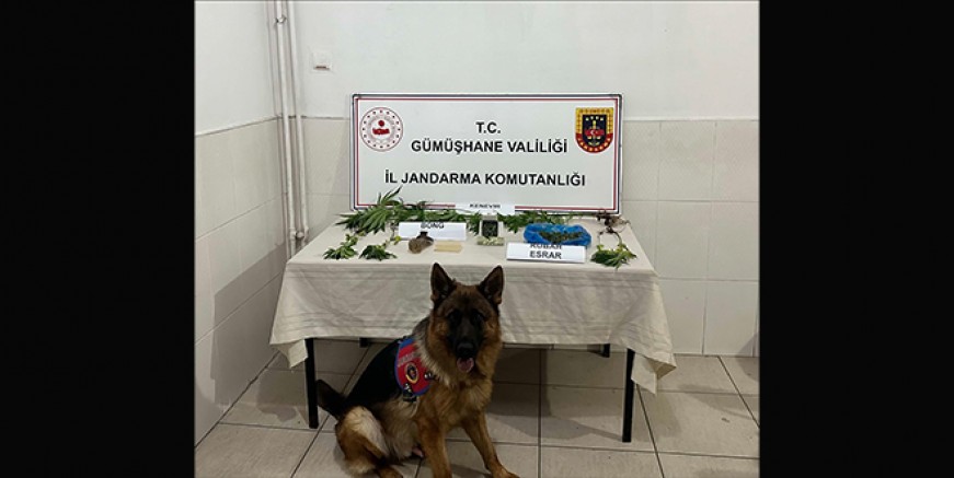 Çeşitli suçlardan aranan şahıs Torul'da yakalandı
