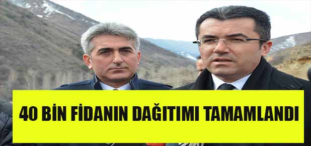 Ceviz eylem planı