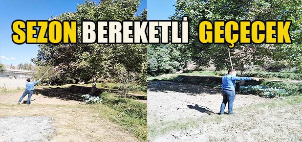 Ceviz ve Gümüşhane