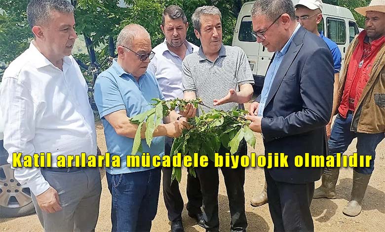 CHP'li Karakoz Kestane Üreticilerinin Sorunlarını Meclis Gündemine Taşıdı