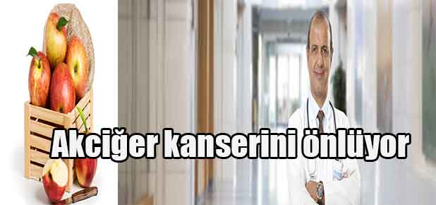 Elma ye hastalıklardan korun