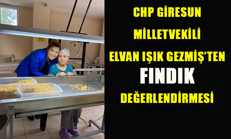 Fiyat 4 Dolar Açıklansaydı Şimdi Fındık 140 Lira Olacaktı