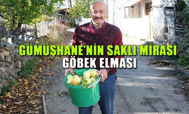 Gümüşhane Göbek Elması