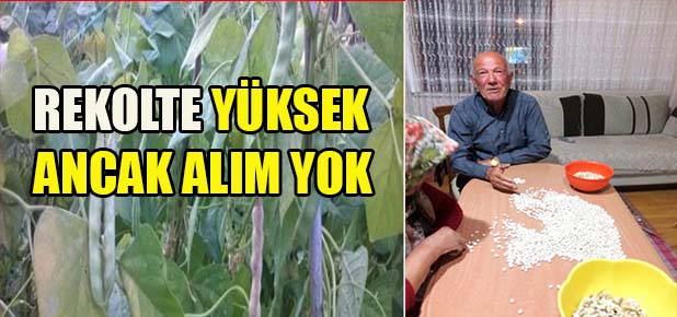 Gümüşhaneli Çiftçiler Dertli: 'Fasulye Elimizde Kaldı'