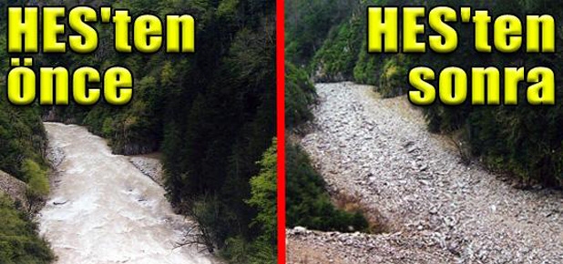 HES yani!